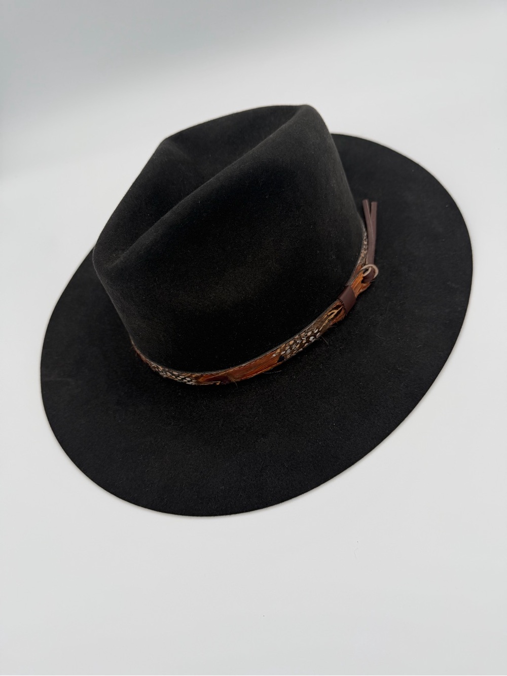 Bailey Genuine fur felt Black Wide-Brim Felt hat with leather and feather
